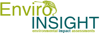 Enviro-Insight Logo